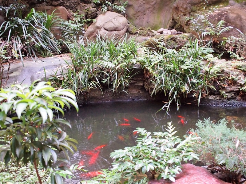 この場所は喫煙が可能のようだ