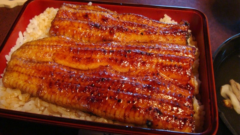 大広間でいただく、「小島屋」さんの蒸浅めのうな重