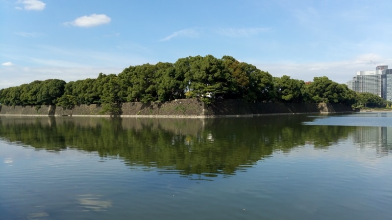 カメラ機能の作例