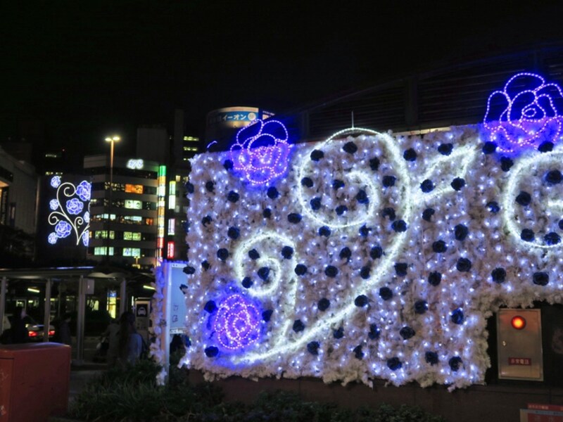 横浜駅西口周辺には「冬に花咲くキセキの青いバラ」をテーマにデザインされたイルミネーションが点灯（2015年11月20日撮影）
