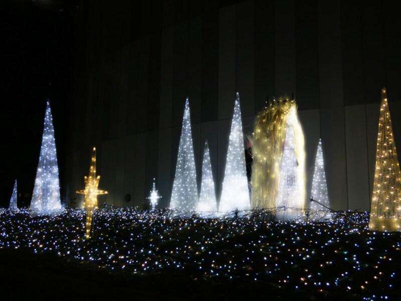 光に包まれて撮影ができるスポットも（2015年11月20日撮影）