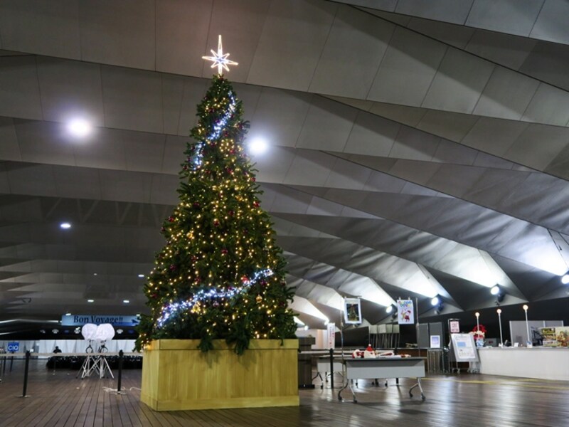 2階ロビー「くじらのおなか」に設置されたツリー（2015年11月27日撮影）