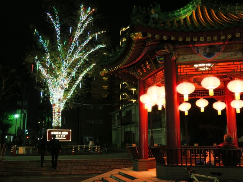中華街にある山下町公園のご神木もイルミネーションで彩られています（2015年11月20日撮影）