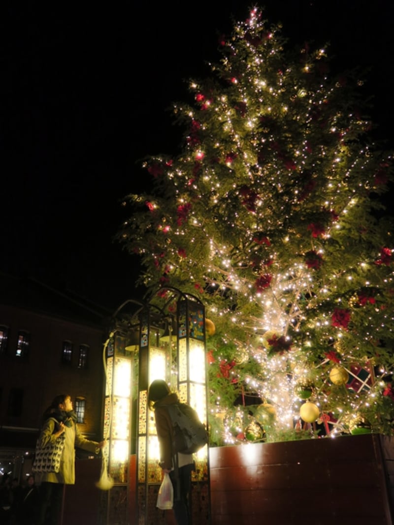 高さ約10mのモミの木を使ったクリスマスツリーが点灯。「幸せの鐘」も鳴らしてみて(2015年11月27日撮影)