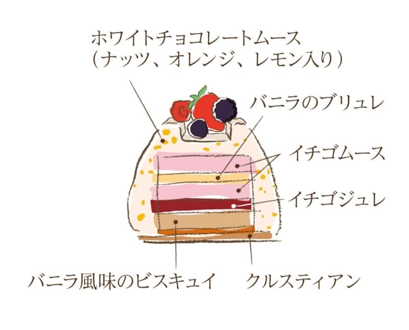 ブッシュ・ド・フレーズ 断面