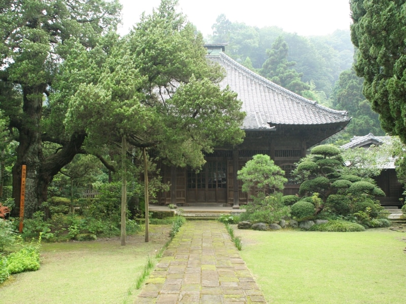 寿福寺本堂。手前左には天然記念物のビャクシンが