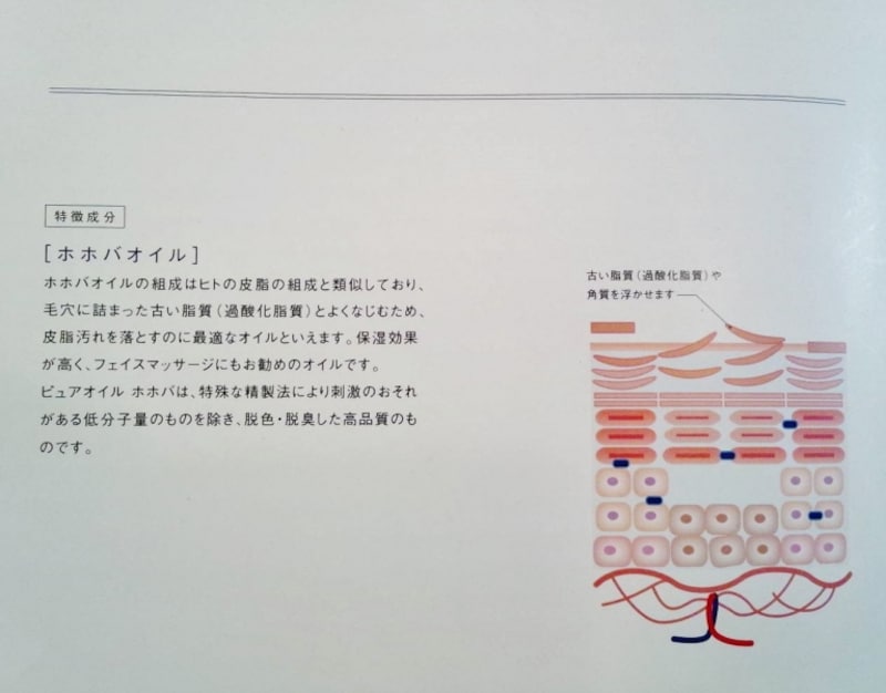 ホホバオイルの資料