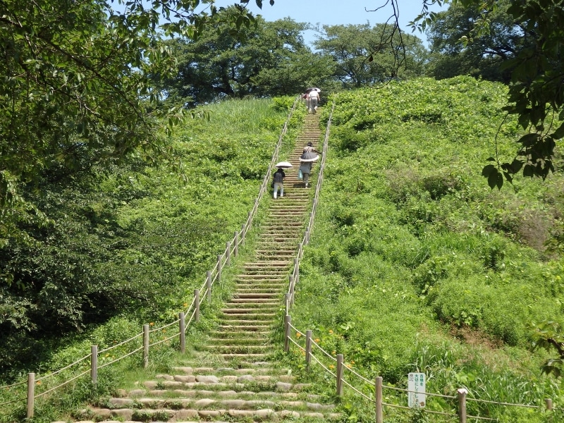 階段を登れば丸墓山古墳の頂上