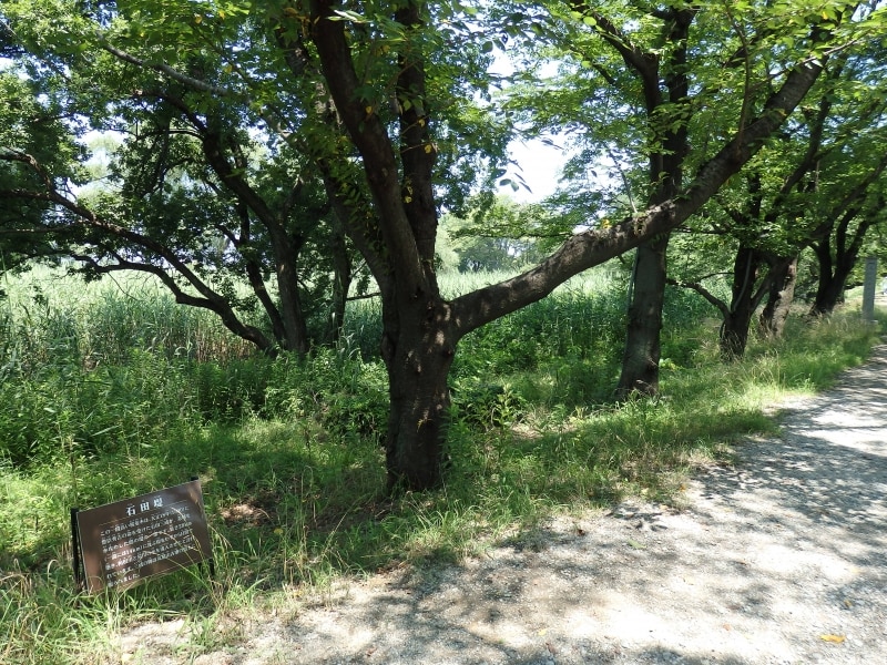 丸墓山古墳の麓の石田堤