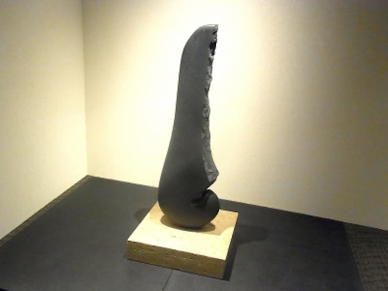 ザ・パークハウス京都鴨川御所東,7億,マンション,鴨川