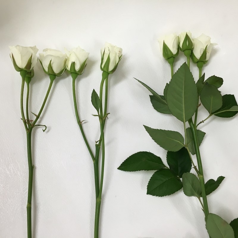 すべての花材をキレイに整えます。