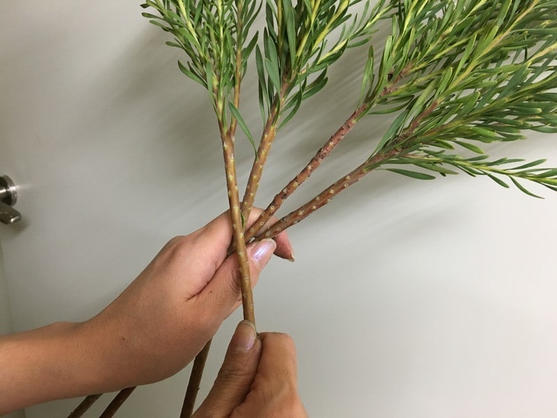 花材を交差させるように束ねていきます。