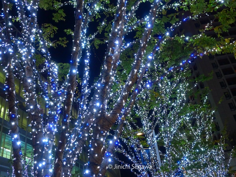 イルミネーション撮影