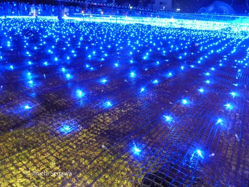 イルミネーション撮影