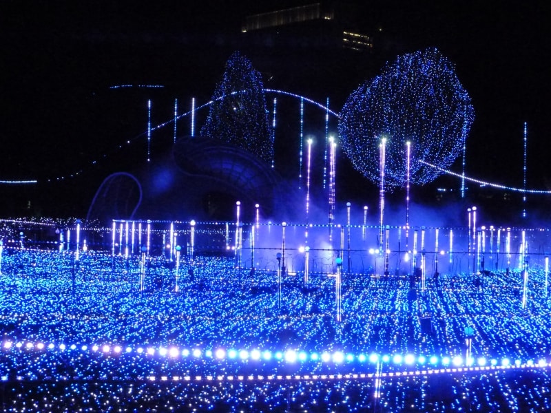 イルミネーション撮影