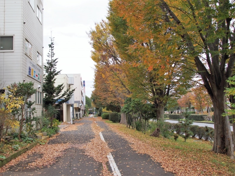 歩道が広く歩きやすい