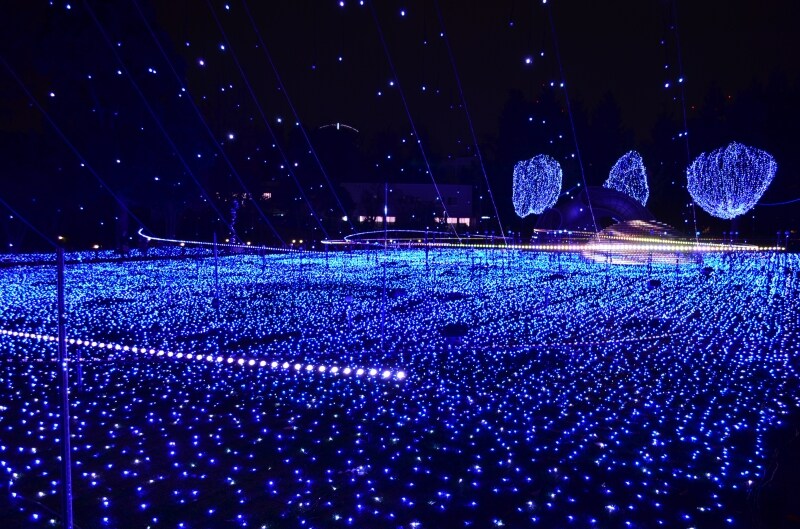 星空のように光が煌めく