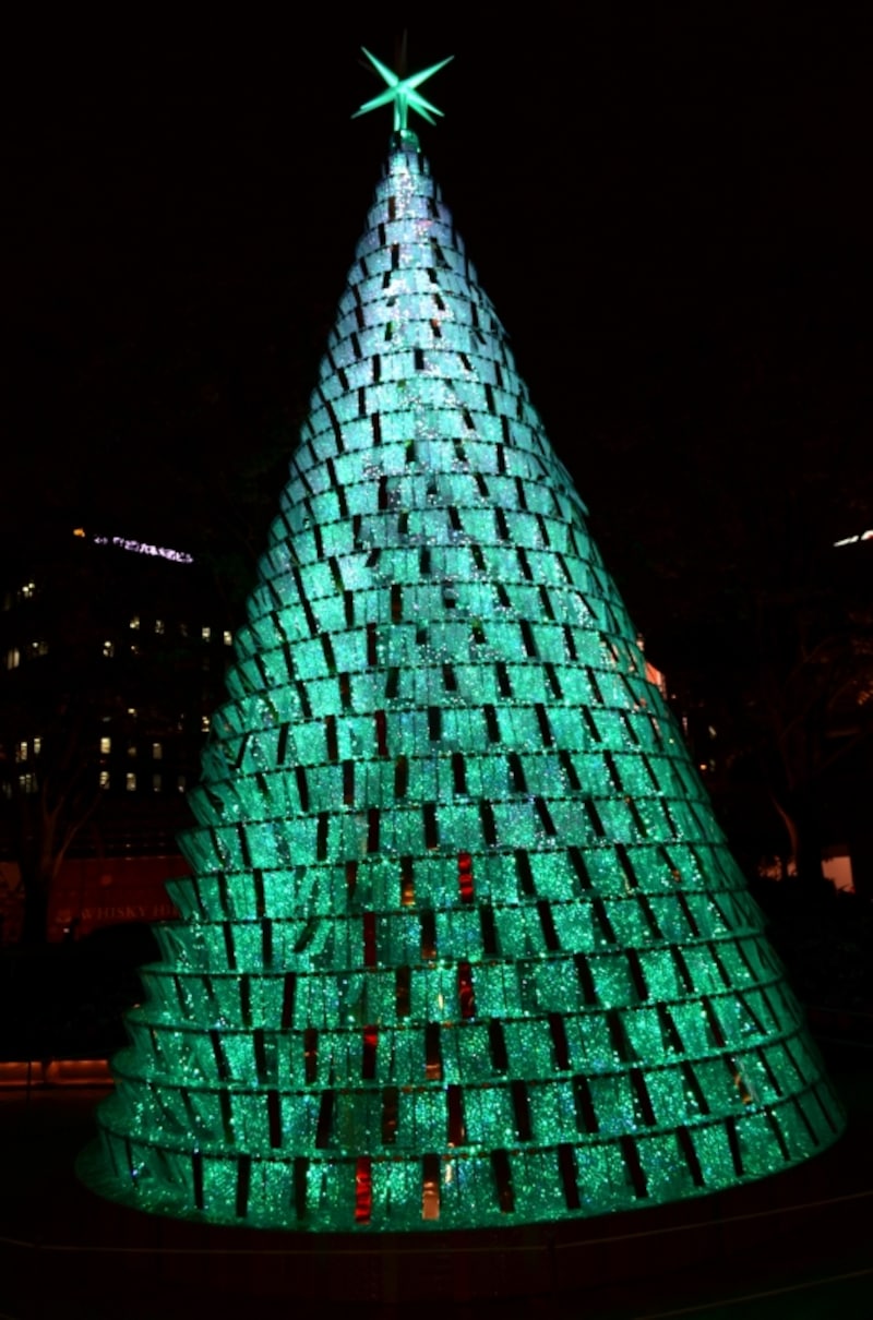 66プラザのシンボルツリー