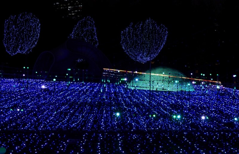 音楽に合わせて光の演出が行われる