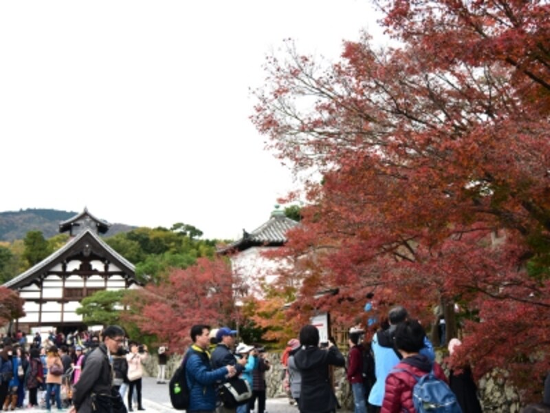 秋の天龍寺境内