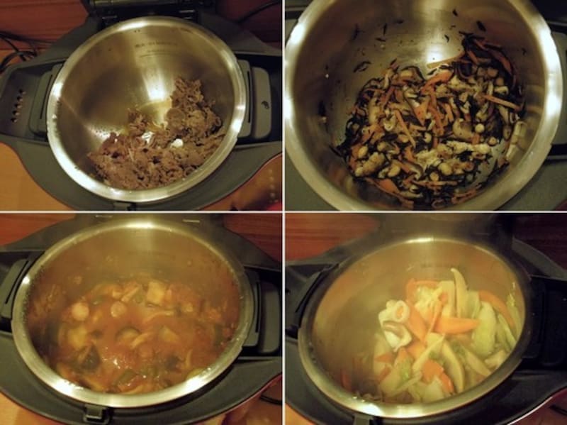 ガイドが試した料理いろいろ／左上：牛肉のしぐれ煮／右上：ひじきの煮物／左下：ラタトゥイユ／右下：八宝菜