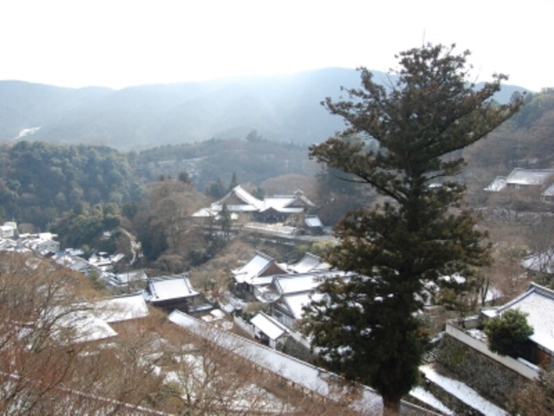 冠雪した長谷寺