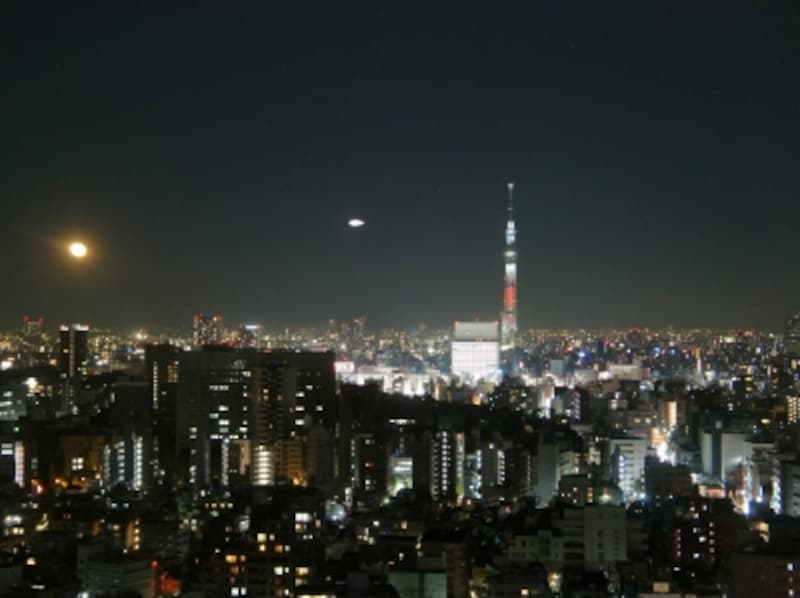 文京シビックセンター展望台から臨む夜景とスカイツリーライティング