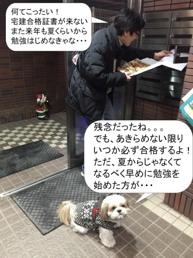 ポストの前で宅建合格証書を探している。どるが夏からはじめては遅いと呟く。