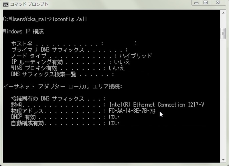 ipconfig /all 実際の画面　（必要がない値は省略してある）