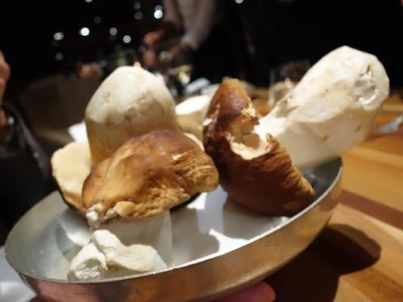 採れたてのポルチーニ茸。なんて大きい！秋に再訪できた喜びも感じて・・・
