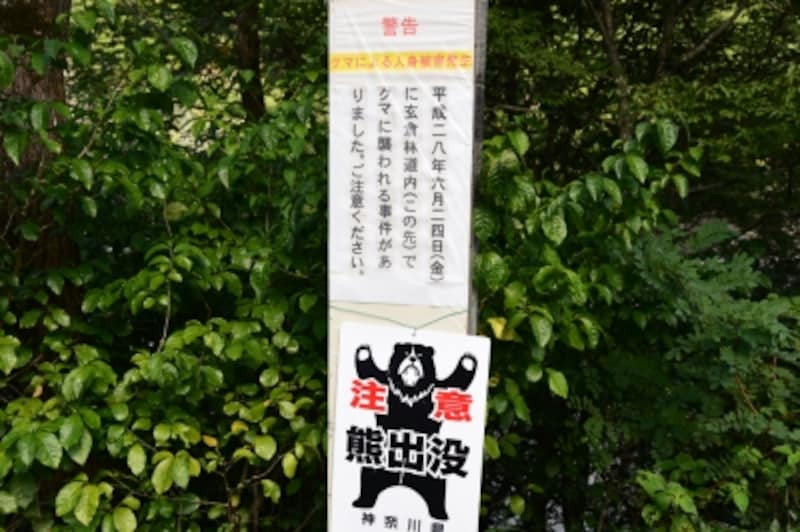 熊に注意！