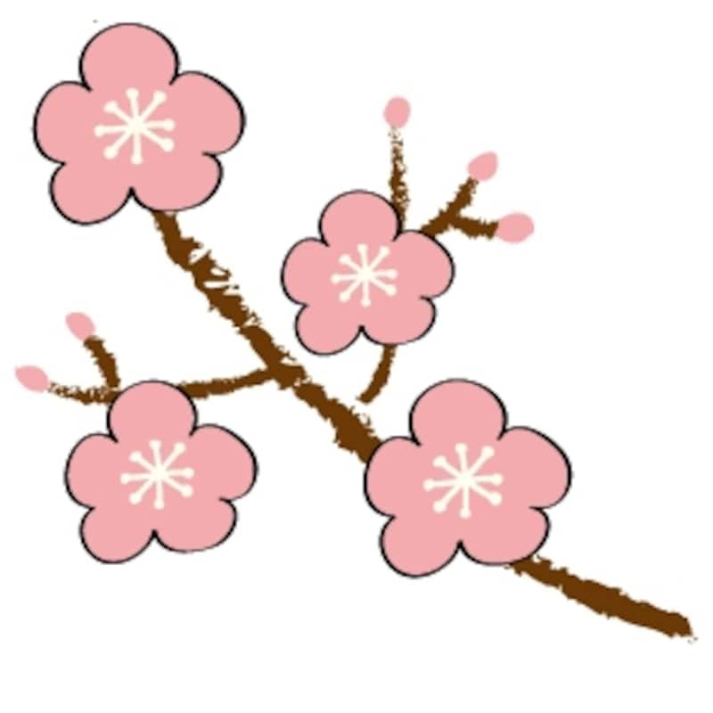 梅　花　イラスト　カラー　かわいい
