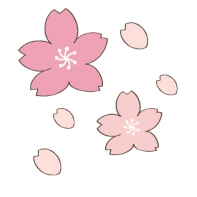 桜　花　イラスト　カラー　かわいい