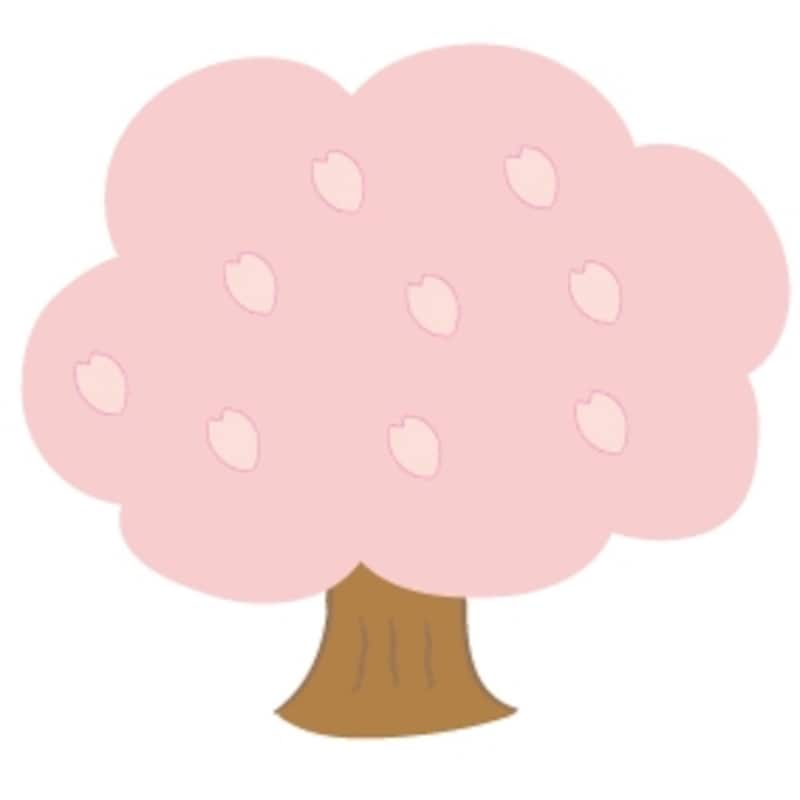 桜の木　花　イラスト　カラー　かわいい