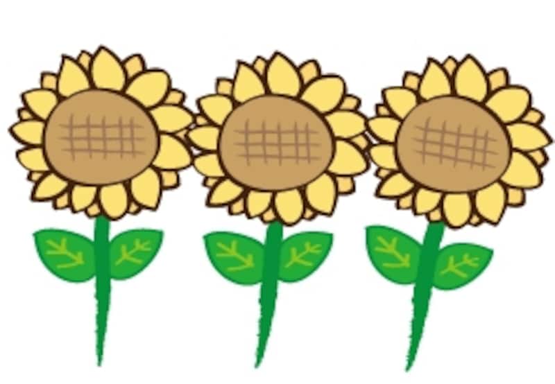 ひまわり　花　イラスト　カラー　かわいい