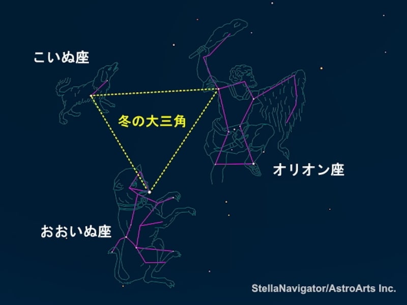 冬の大三角と星座