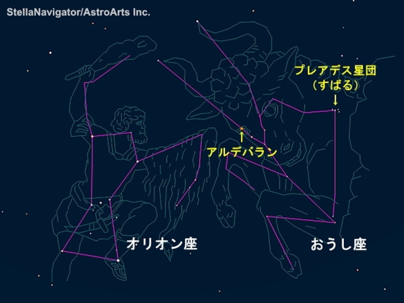 おうし座
