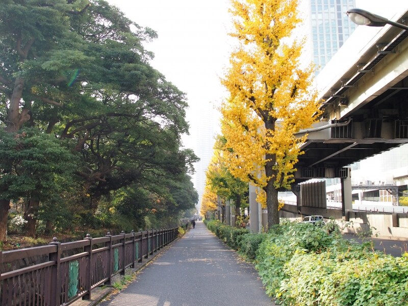 浜離宮恩賜庭園undefined東京都中央区浜離宮庭園1-1
