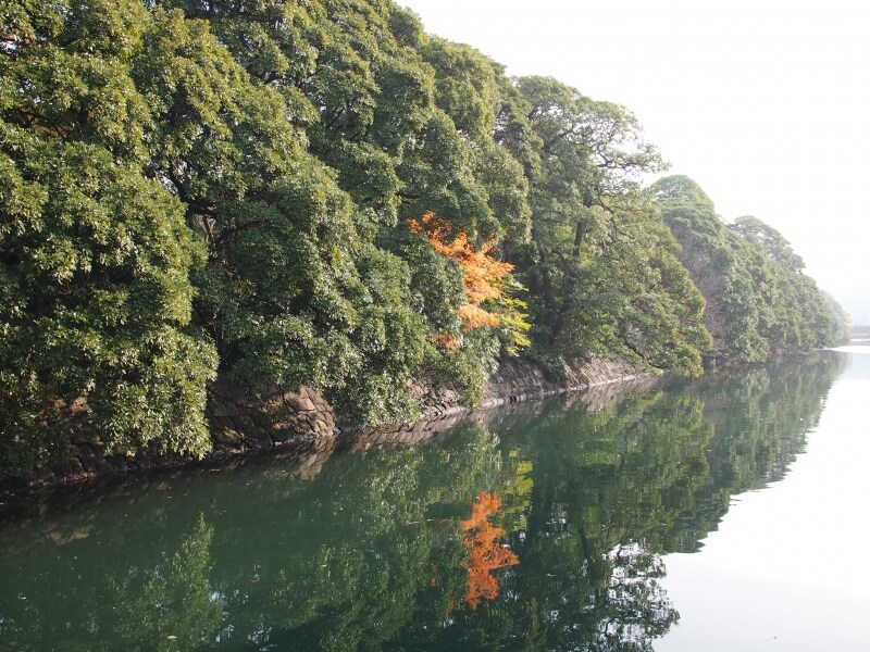 なかなか美しい景色だ