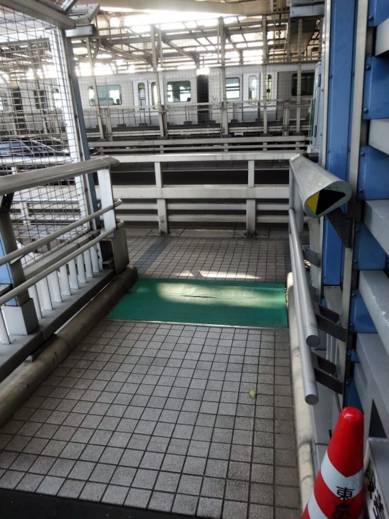 先に見えるのは、ゆりかもめだ