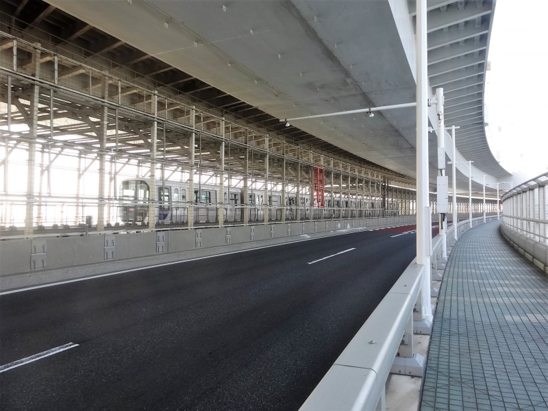 間近に見えるゆりかもめ