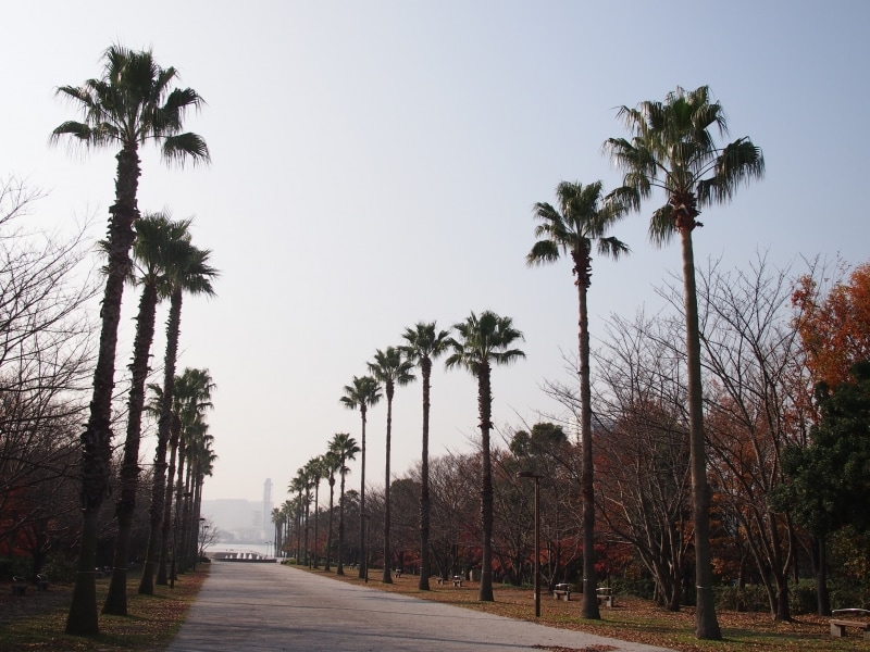 潮風が心地よい