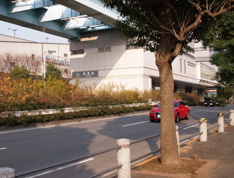 読み方は「あおみ」