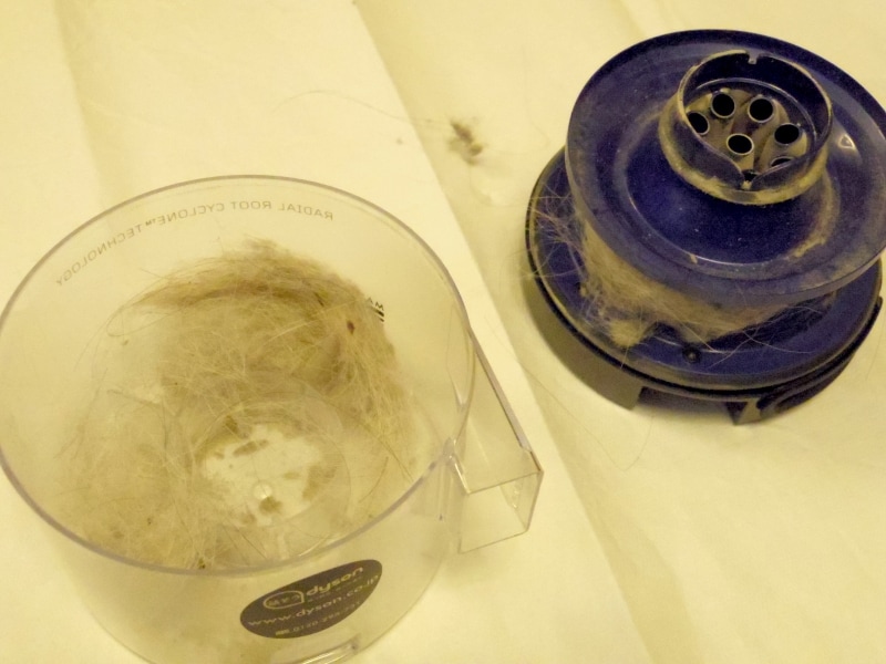 ロボット掃除機2015・ダイソン・ルンバ・ネイト