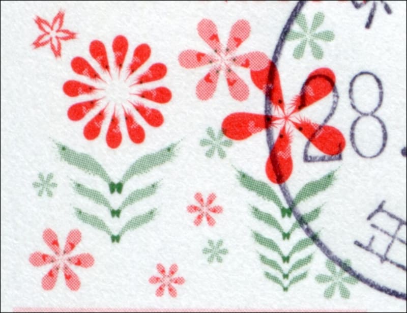 たくさんのエビ