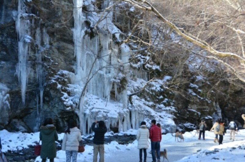 約30メートルの岩肌がキャンバスとなる三十槌の氷柱