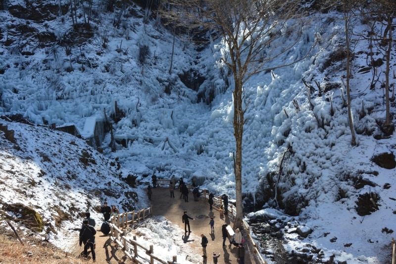 幅約120メートル、高低差30メートルの公園に咲く氷の華