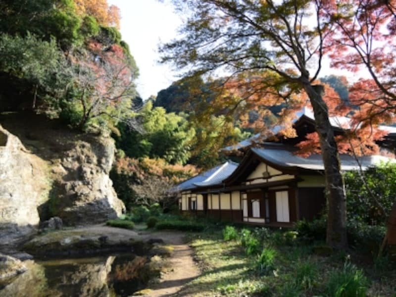 紅葉の季節の瑞泉寺本堂と石庭