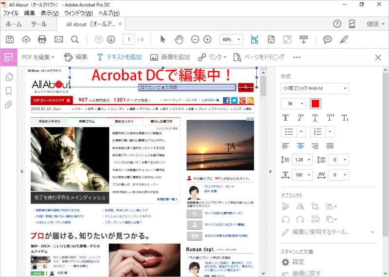 画像を変更して、新しい文字を追加してみました。PDFファイルを、ここまで細かく編集できるのは、Adobe Acrobat DCだけといってよいでしょう