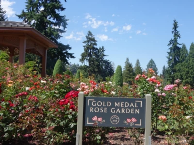 rose garden